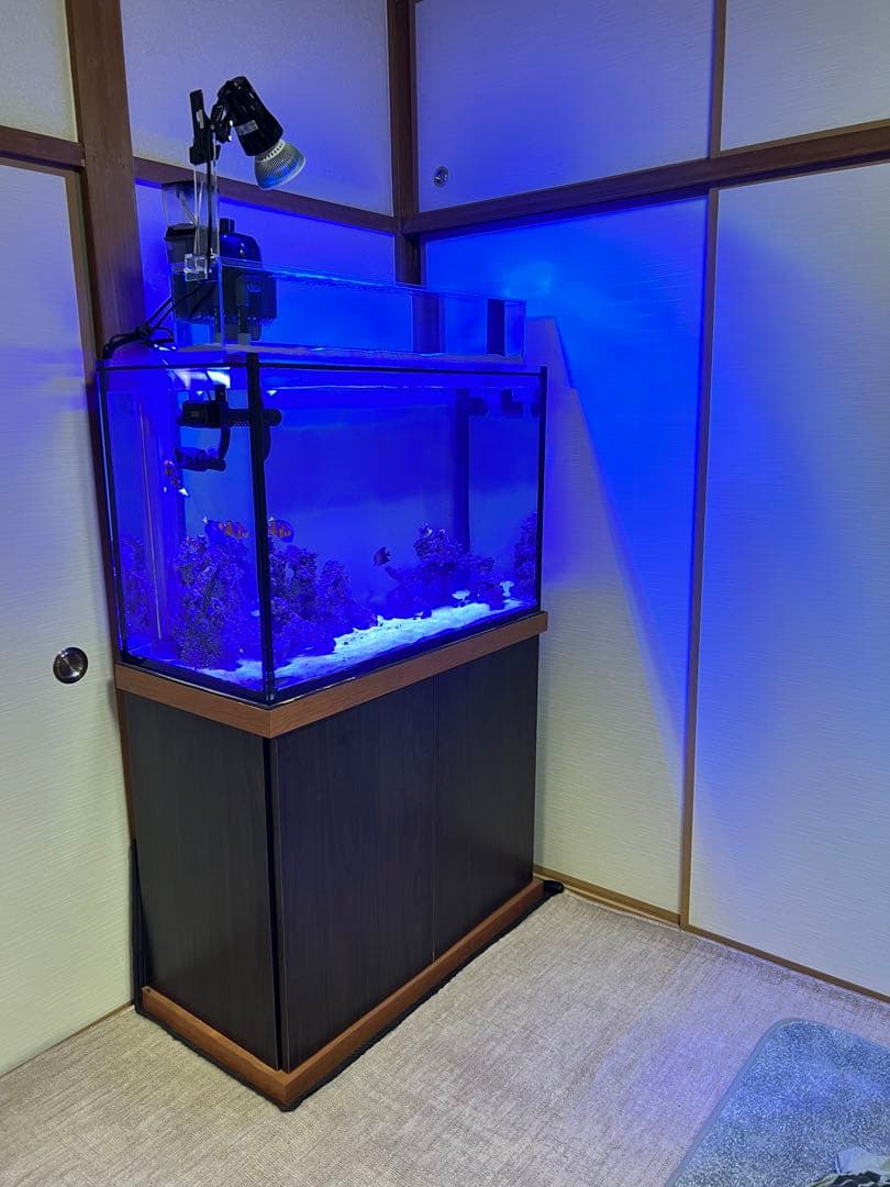 オーバーフローガラス水槽セット　引き取り限定