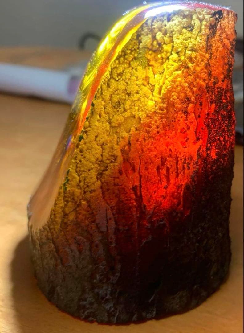 琥珀 セミの標本 セミ レジン封入 テイオウゼミ樹脂琥珀標本 大型インテリア 蝉