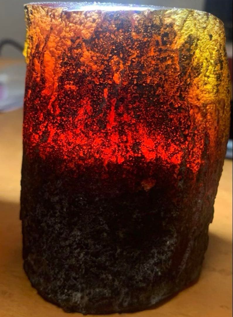 琥珀 セミの標本 セミ レジン封入 テイオウゼミ樹脂琥珀標本 大型インテリア 蝉