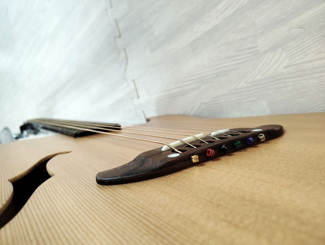 シェクター エレアコ OL-FL ナチュラル テレキャスタイプ SCHECTER