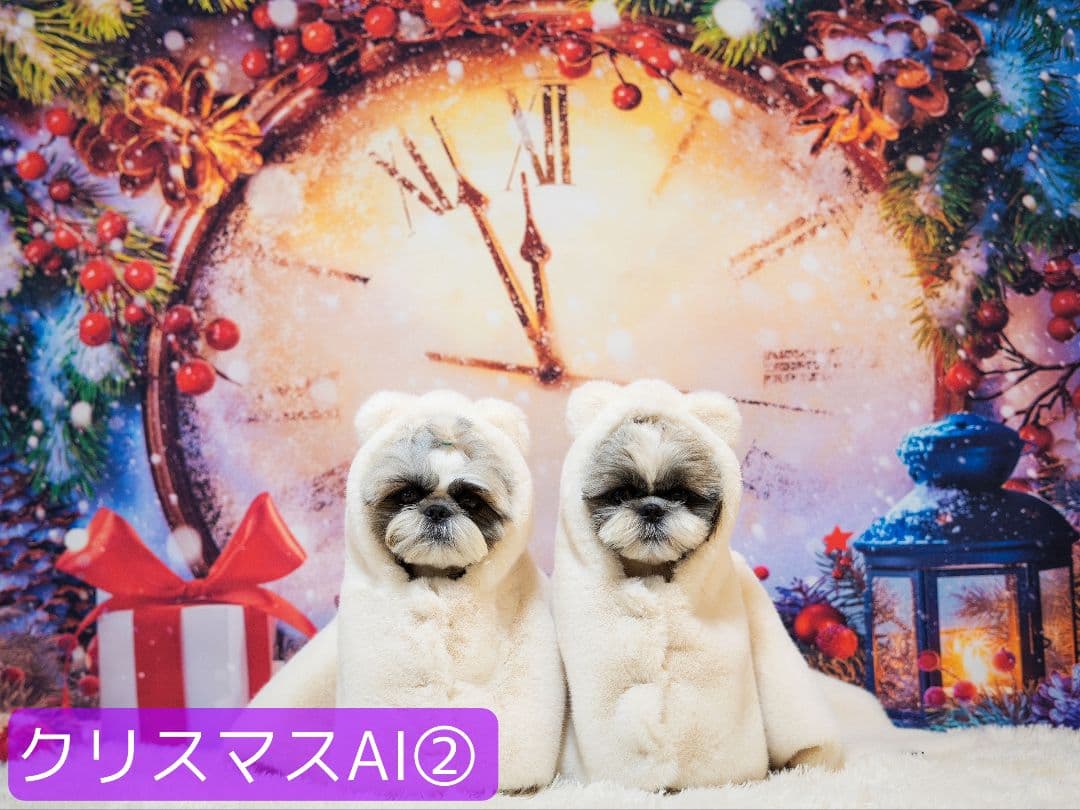 背景布ハロウィンK②　ペット、パーティー撮影用フェルトトリミングチョーカー販売中