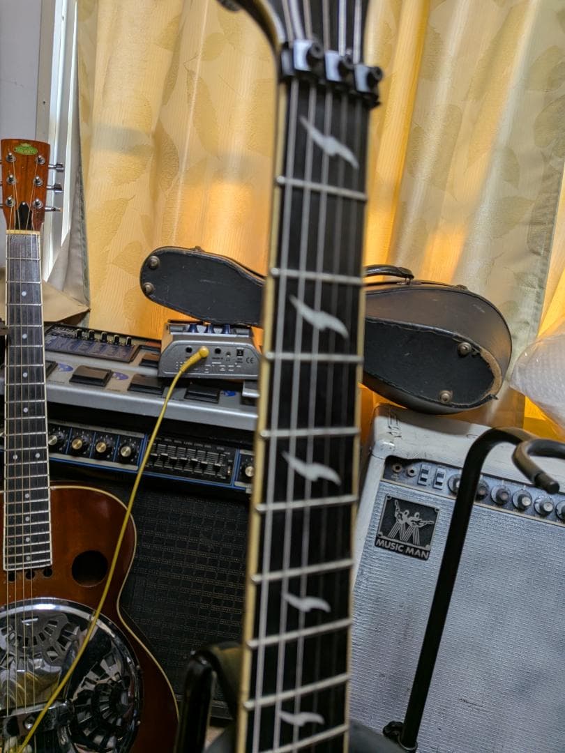 EXタイプ　レリック　シェクター×2　ピエゾ等改造多！動画あり！