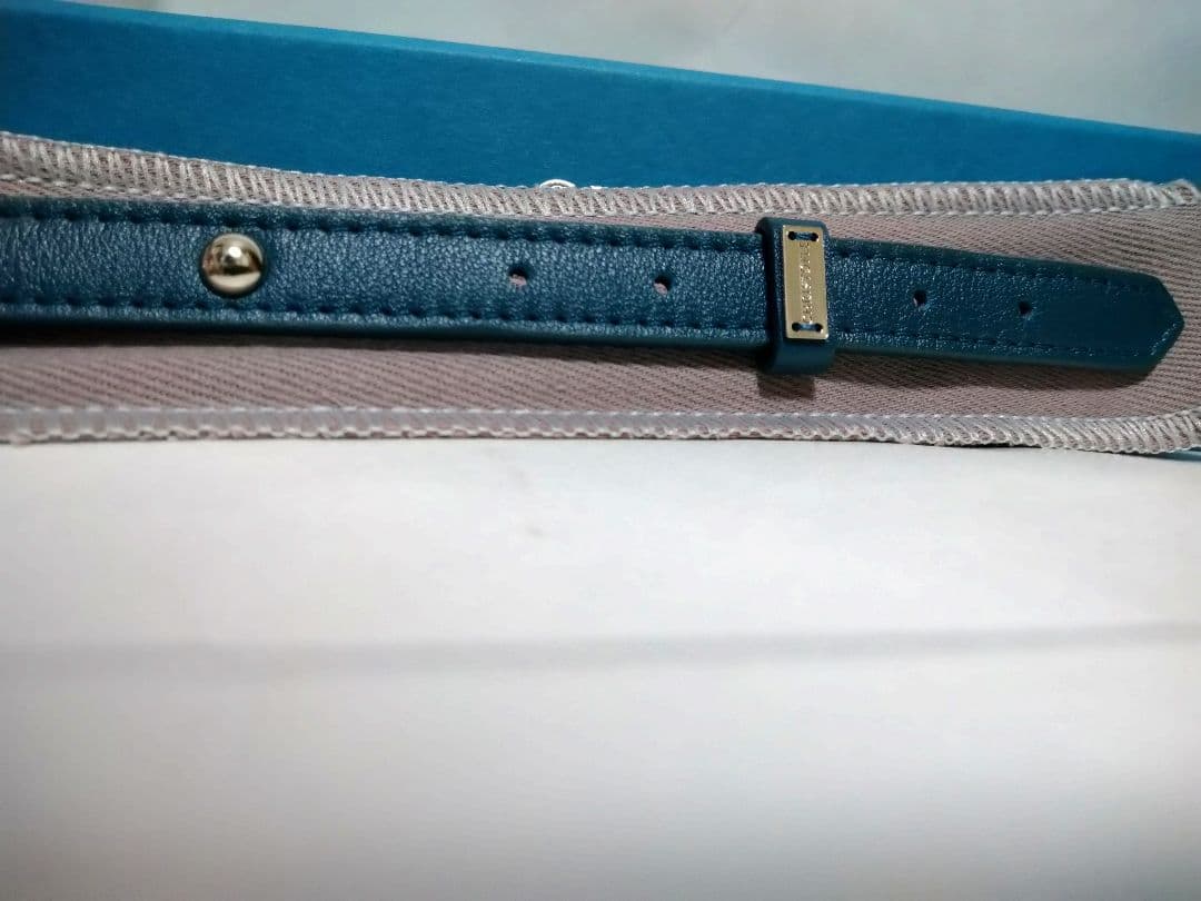 (新品未使用)クリストフル 首輪 プレゼント◎