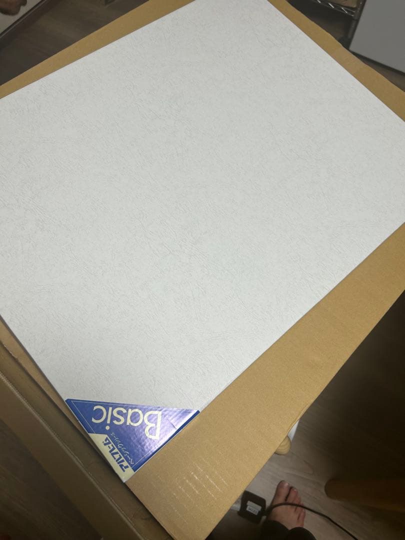 ONE PIECE 複製原画