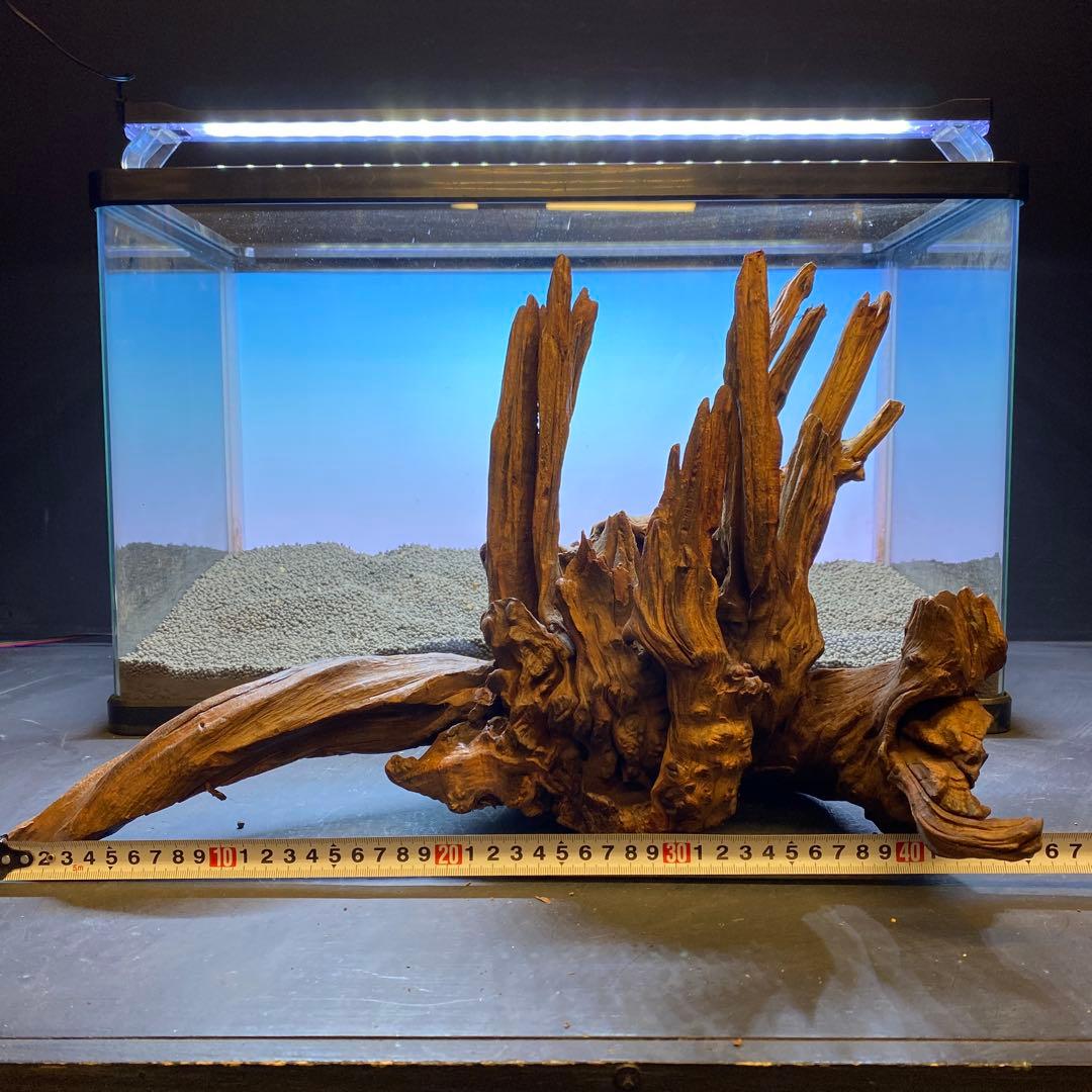 MRW-5822 赤系天然流木　自立流木　1点物　流木　アクアリウム