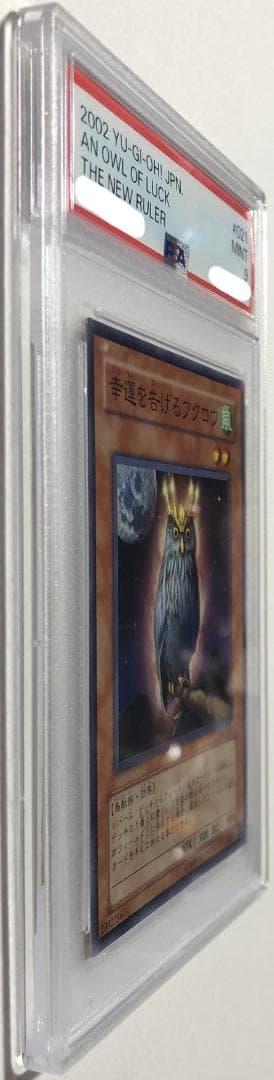 遊戯王 不幸を告げる黒猫 PSA10 301-018【２点セット】