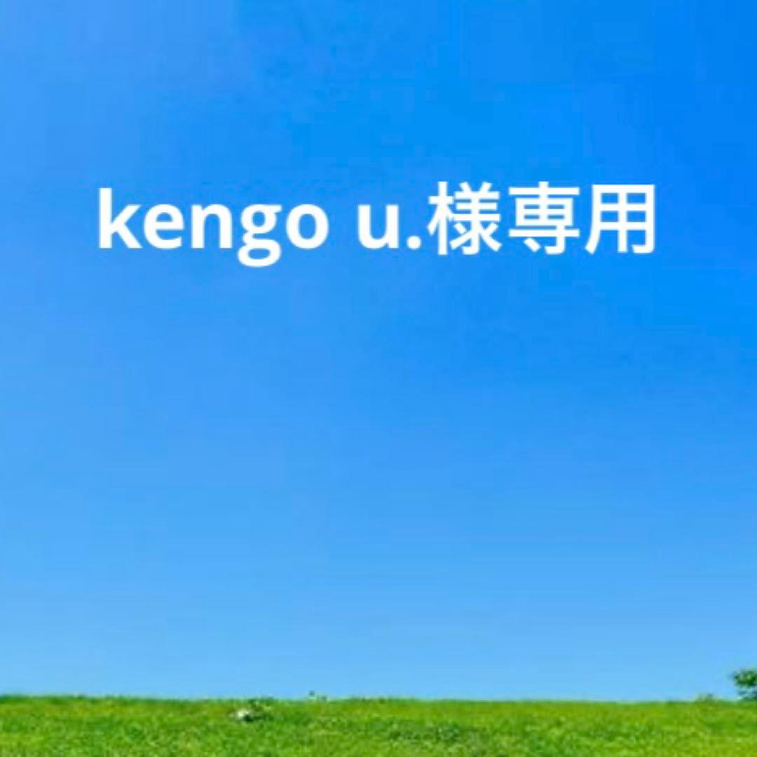 未使用　IL BISONTEイルビゾンテ レザー二つ折り財布 ブラック　コンチョ