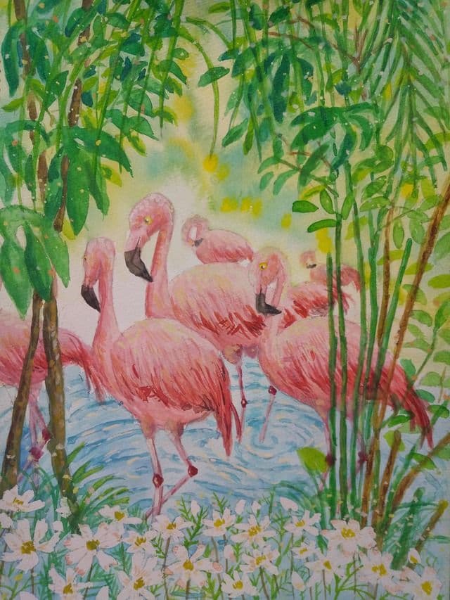 チリーフラミンゴの秘境