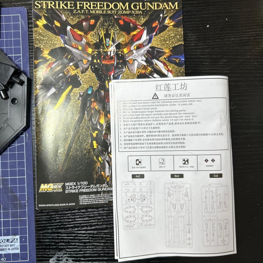 依頼品 MGEX ストライクフリーダム (海外製キット使用) 全塗装完成品