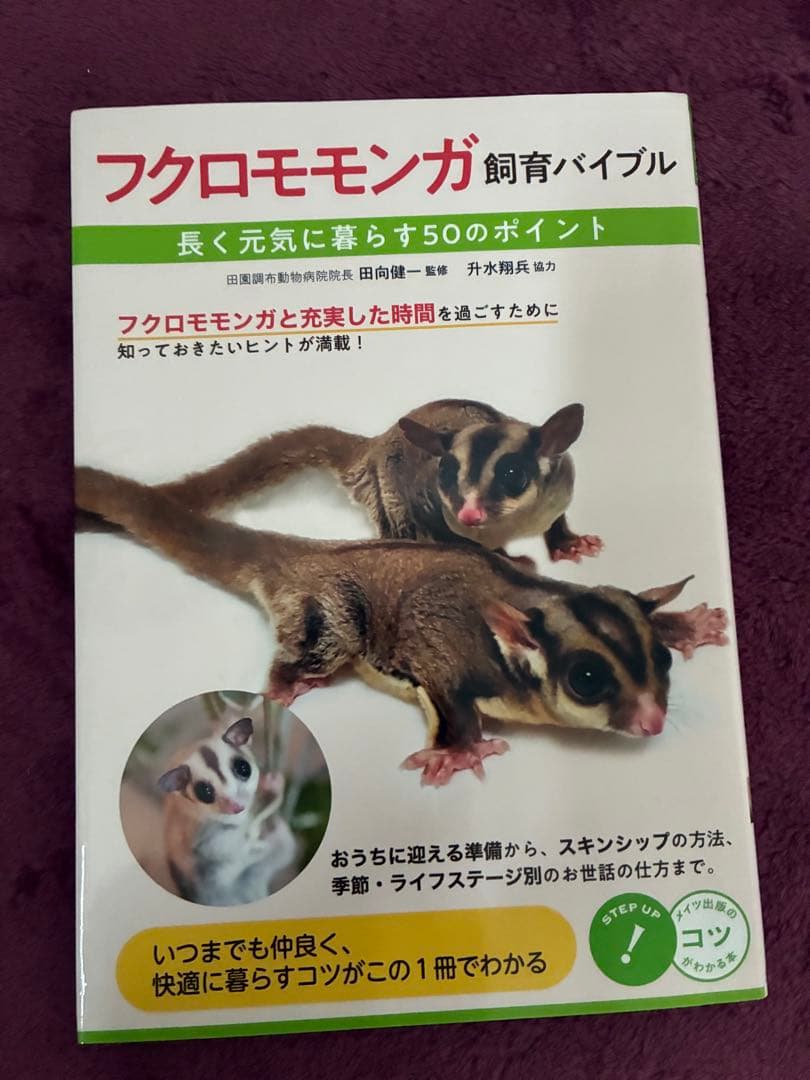 モモンガ　ゲージ　小動物　フクロウモモンガ