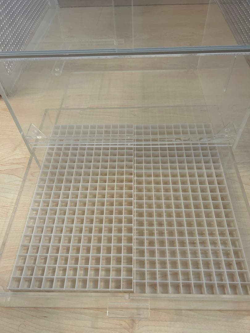 モモンガ　ゲージ　小動物　フクロウモモンガ