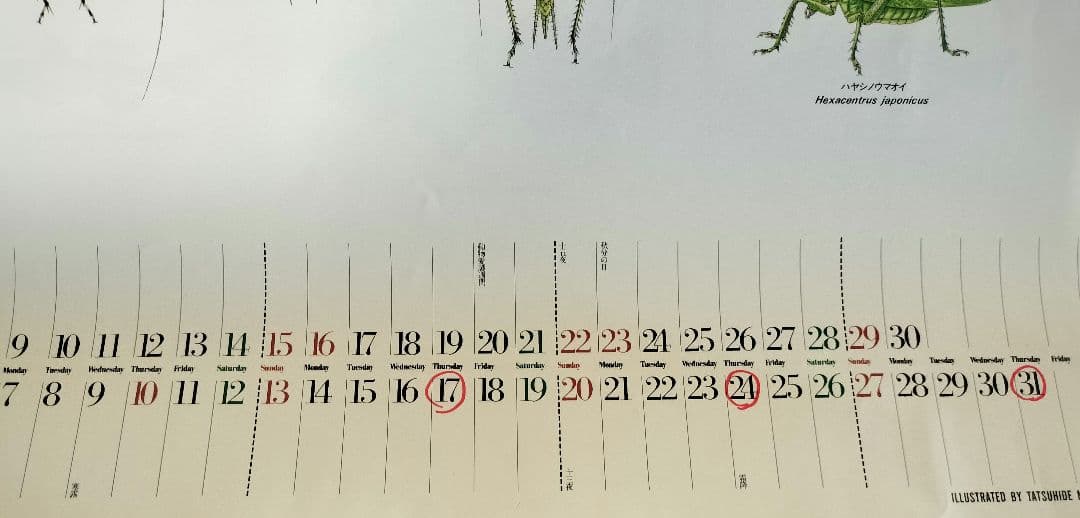 BE-PAL ビーパル カレンダー 新品未使用 1991年動物編　ヴィンテージ