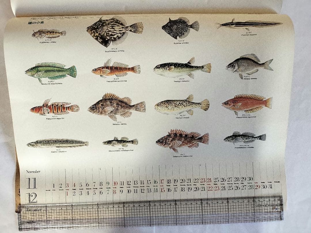 BE-PAL ビーパル カレンダー 新品未使用 1991年動物編　ヴィンテージ