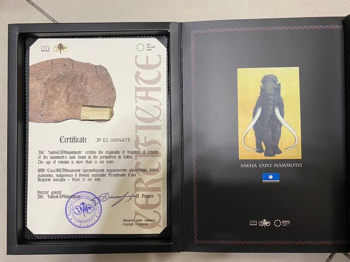 2005年愛知万博　マンモスの牙