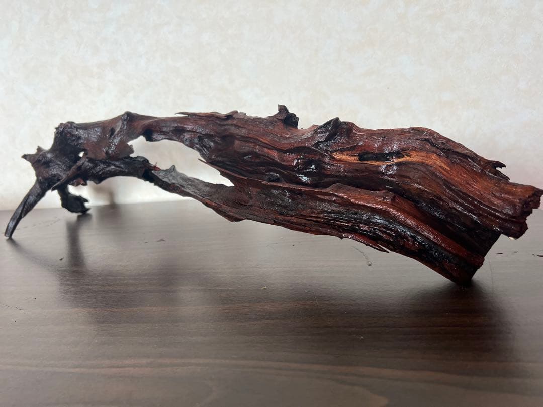 HX-026 流木　ホーンウッド　マシンガンウッド　アクアリウム　ブランチウッド