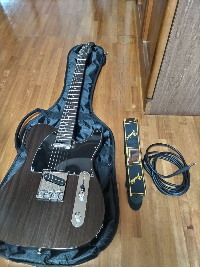 Bacchus エレキギター ダークウッド