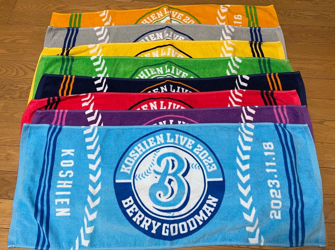 BERRY GOODMAN ベリーグッドマン　ツアーグッズ　タオル甲子園　17枚