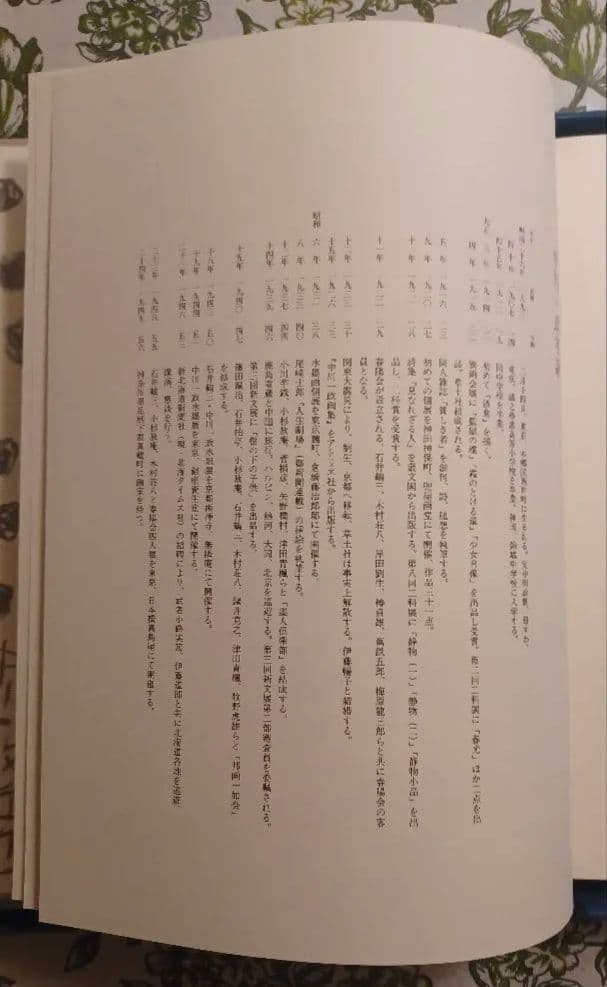 【特別限定版】中川一政『近作画集　第一』