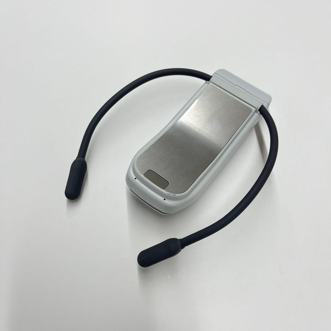 SONY ソニー レオンポケット プロ