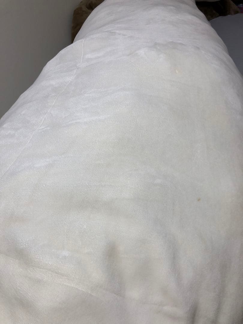 20周年限定　しろたん　ぬいぐるみ　2m