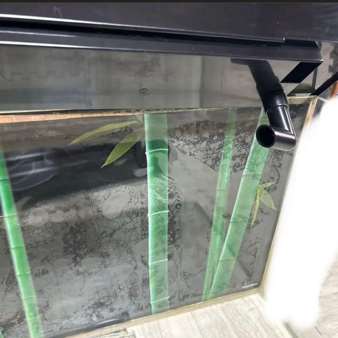 専用　⚫︎GEX ガラス水槽 セット　フィルター バラ売り可