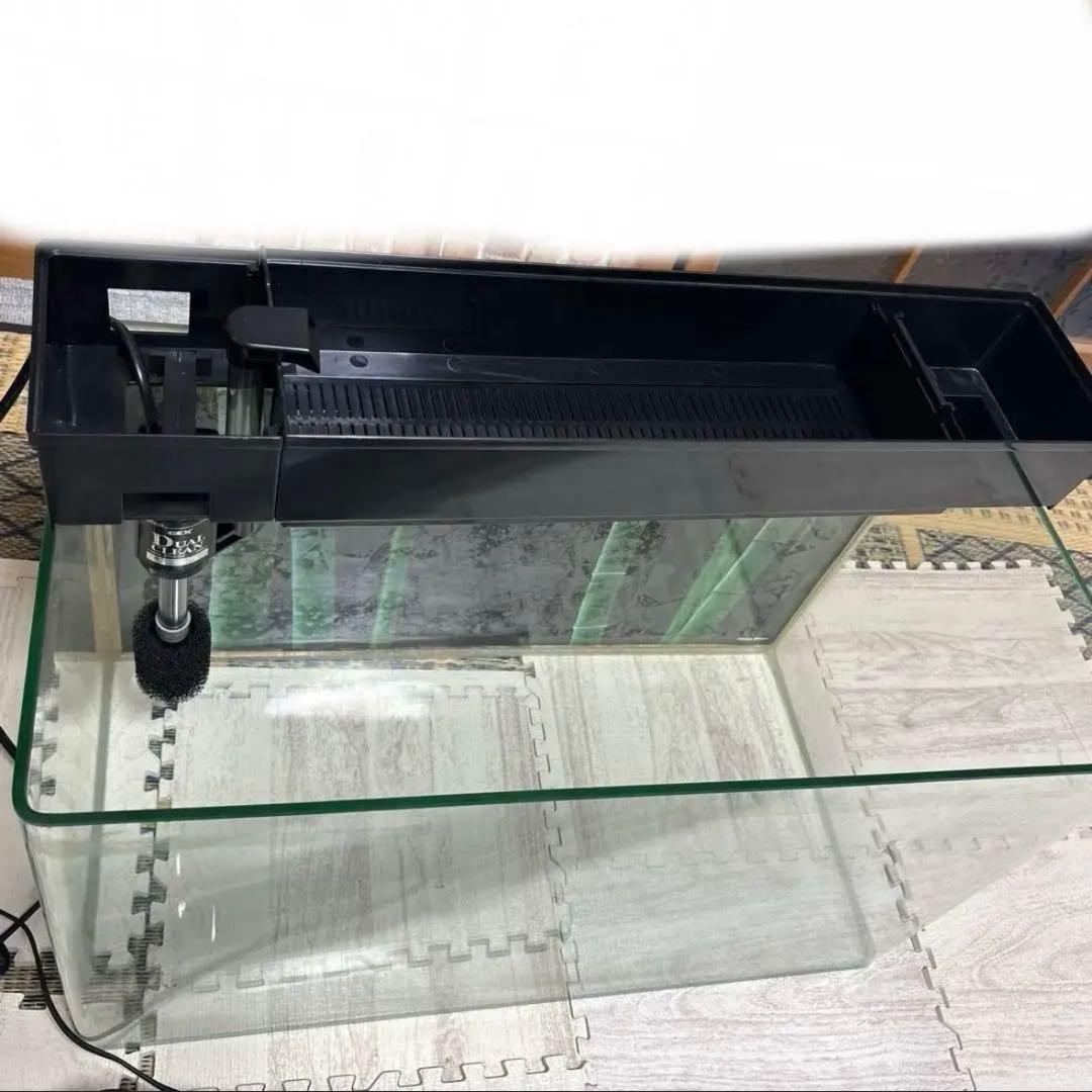 専用　⚫︎GEX ガラス水槽 セット　フィルター バラ売り可