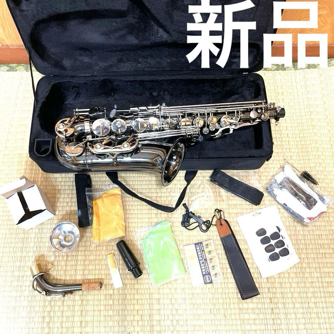 SHUNTIAN アルトサックス　楽器　ケース　マウスピース