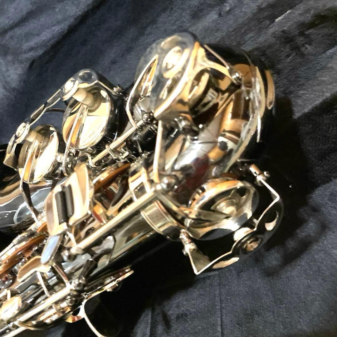 SHUNTIAN アルトサックス　楽器　ケース　マウスピース