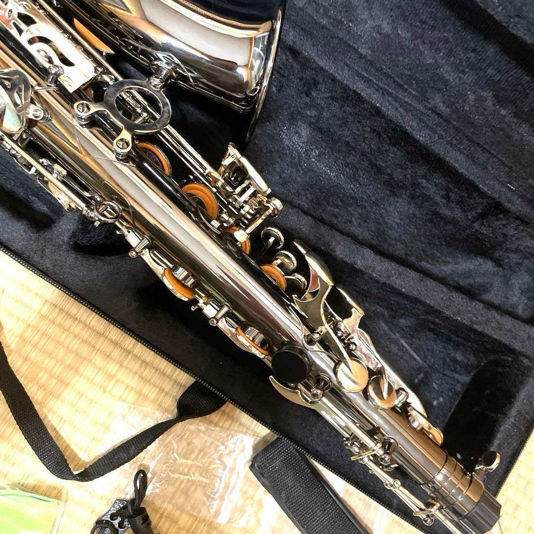 SHUNTIAN アルトサックス　楽器　ケース　マウスピース
