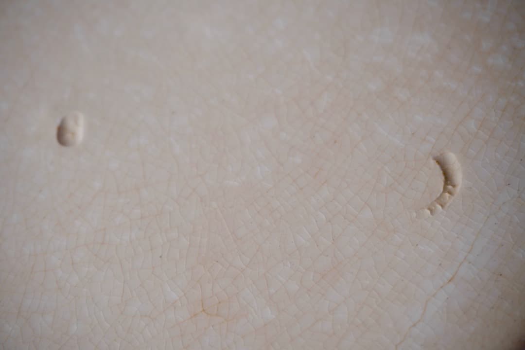 フランス アンティーク クレイユモントロー オクトゴナルプレート 陶器 平皿④