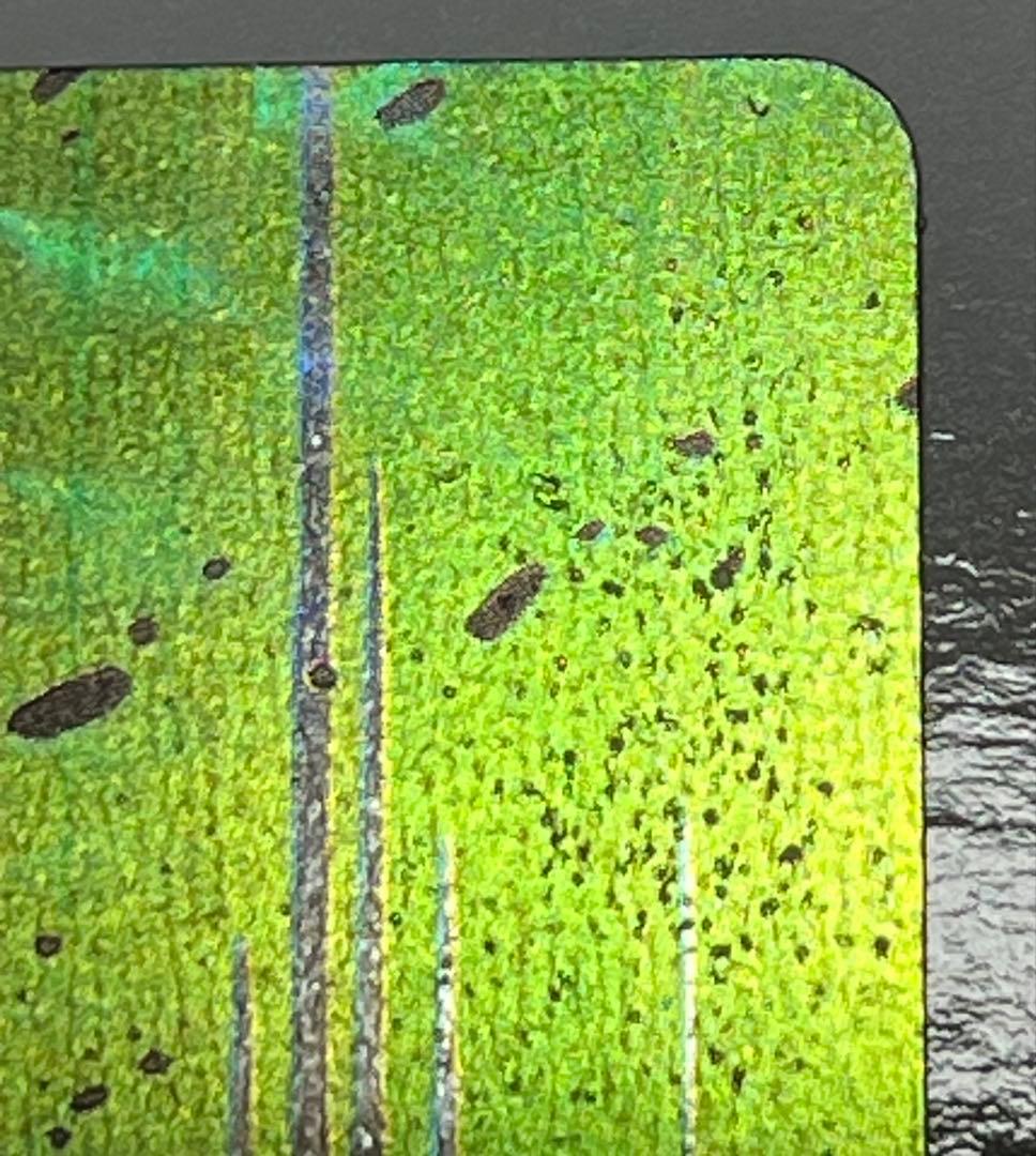 ドラゴンボールＺ　カード　日清ヨーク