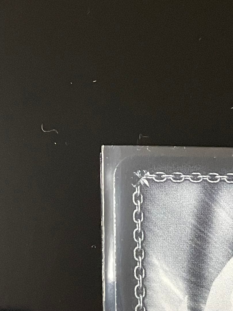 Masquerade ドロリス SSP サイン ヴァイス カード WS