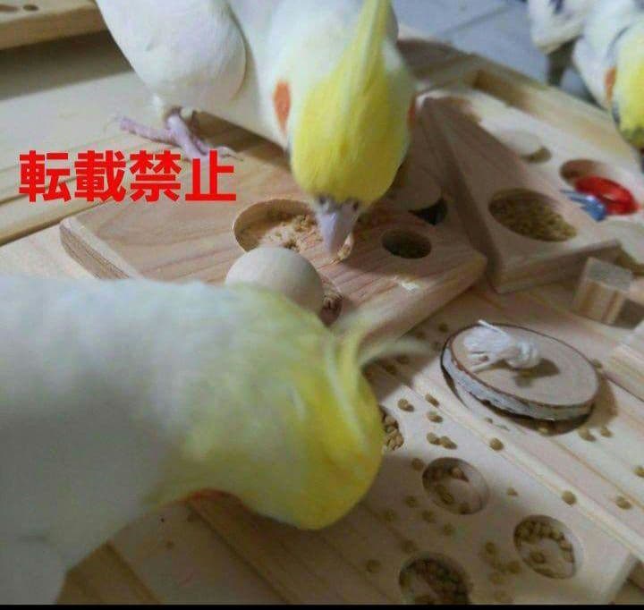 47　⭐　インコ　フォージングトイ　⭐　バードトイ　おもちゃ　文鳥　ことり