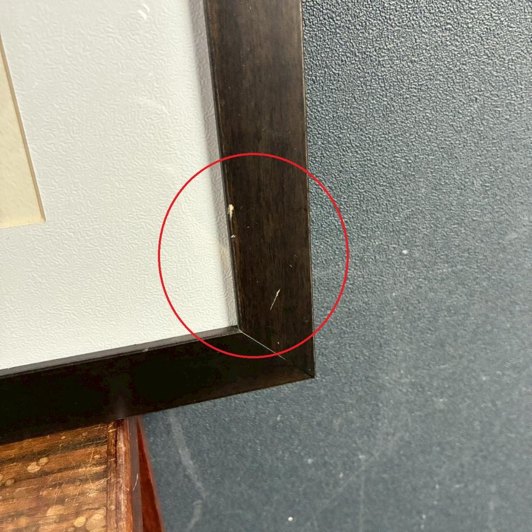 サルバドール・ダリ リトグラフ 版画 直筆サイン入り 限定品 額縁入り