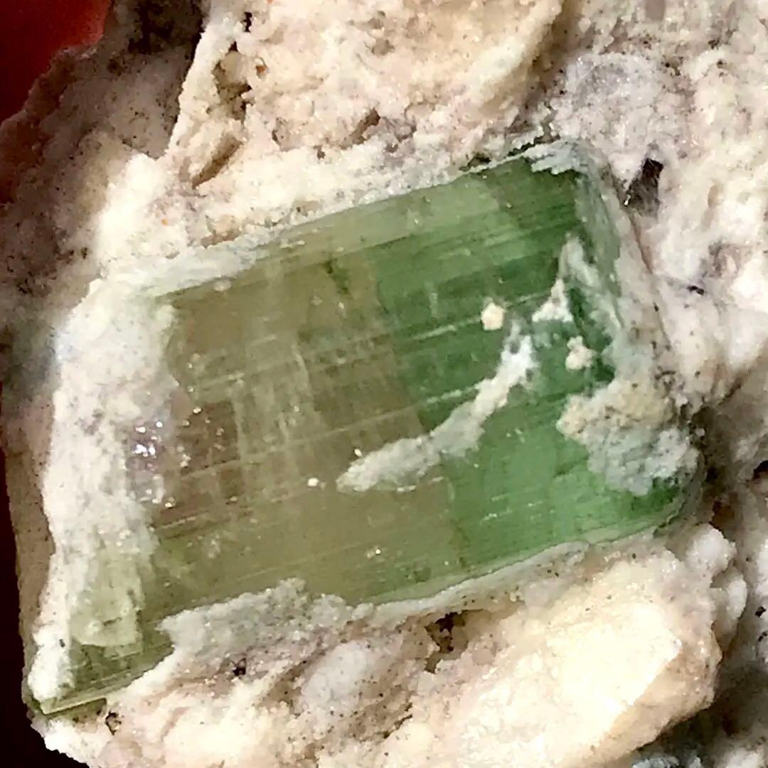 ウォーターメロントルマリン 原石 バイカラートルマリン トルマリン 鉱物標本