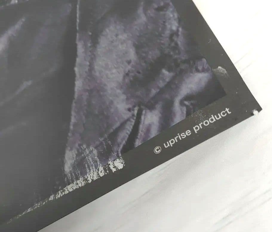 アシッドブラックチェリー　2014 アリーナ　シャングリラ　特大ポスター