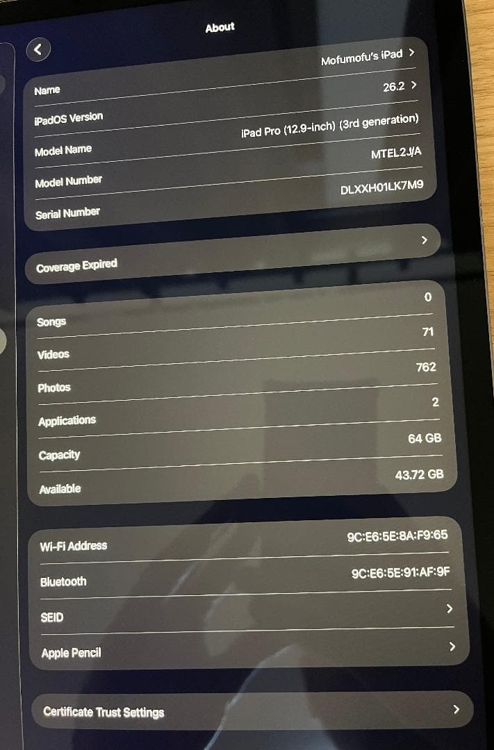 iPad Pro 12.9インチ 第3世代 + Apple Pencil