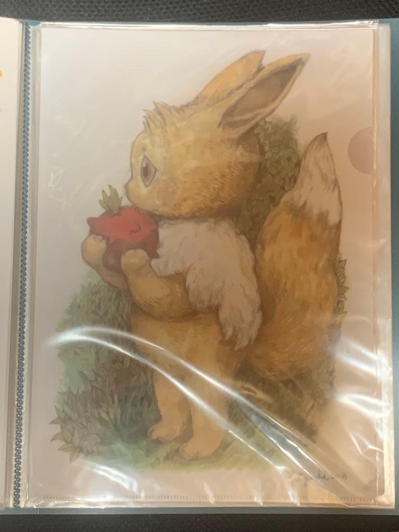 イーブイ ヒグチユウコ　クリアファイル