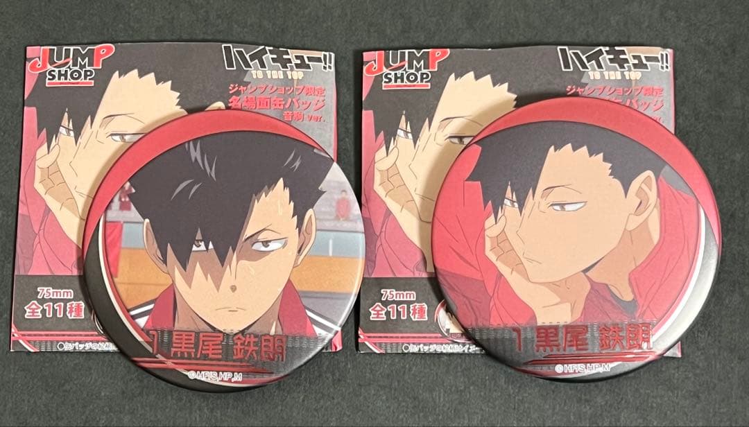 ハイキュー 名場面缶バッジ 音駒高校 孤爪研磨 黒尾 夜久 11種コンプリート