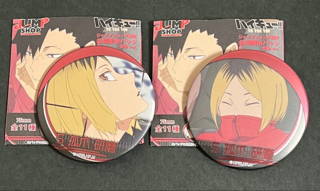 ハイキュー 名場面缶バッジ 音駒高校 孤爪研磨 黒尾 夜久 11種コンプリート