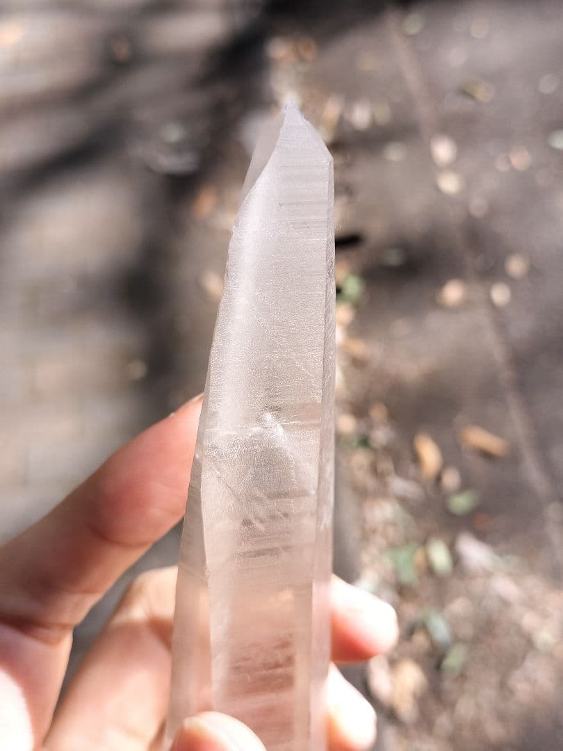 【超特価】オールドレムリアン　ピュアレイ