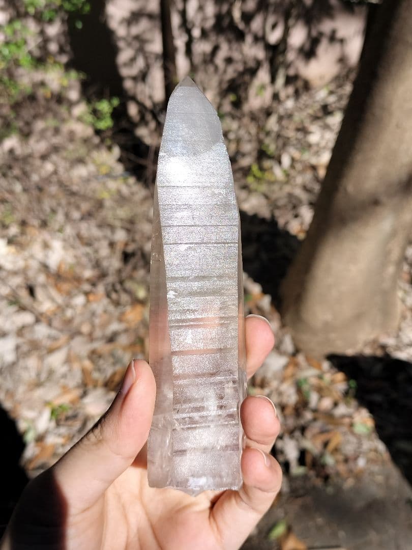 【超特価】オールドレムリアン　ピュアレイ