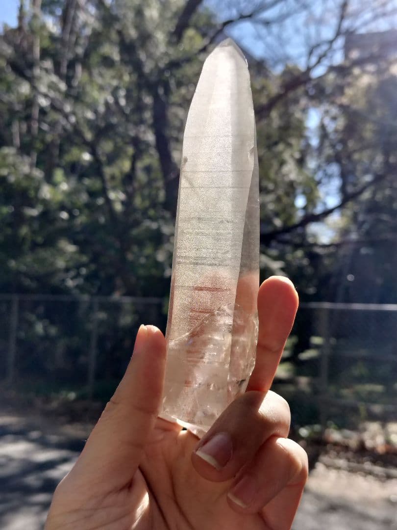 【超特価】オールドレムリアン　ピュアレイ