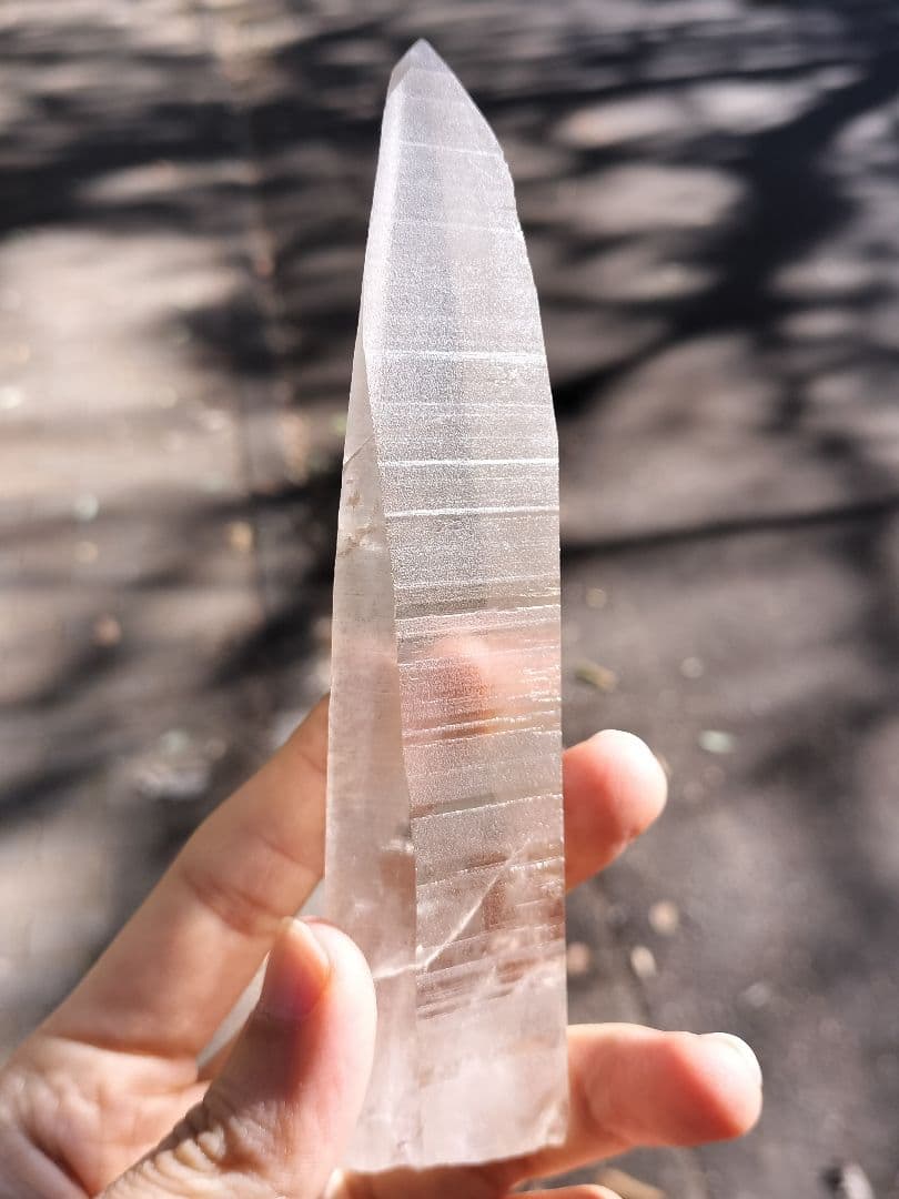 【超特価】オールドレムリアン　ピュアレイ