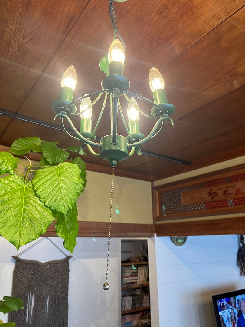 グリーンシャンデリア 5灯 チェーン式