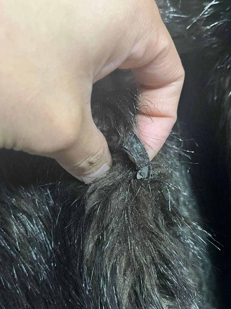  マルタンマルジェラ　ビーバーフェイクファーコート size XL