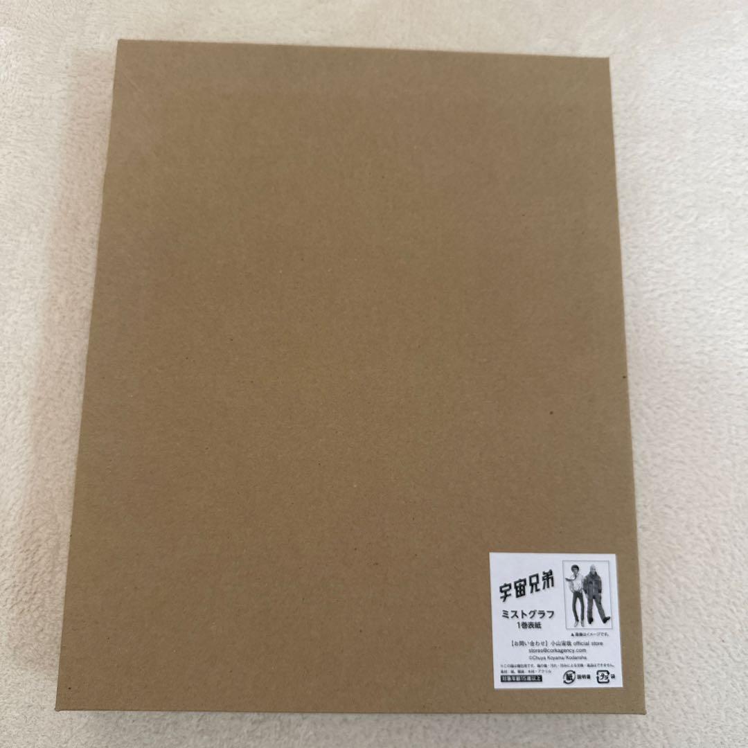 ミストグラフ 額装アート 1枚