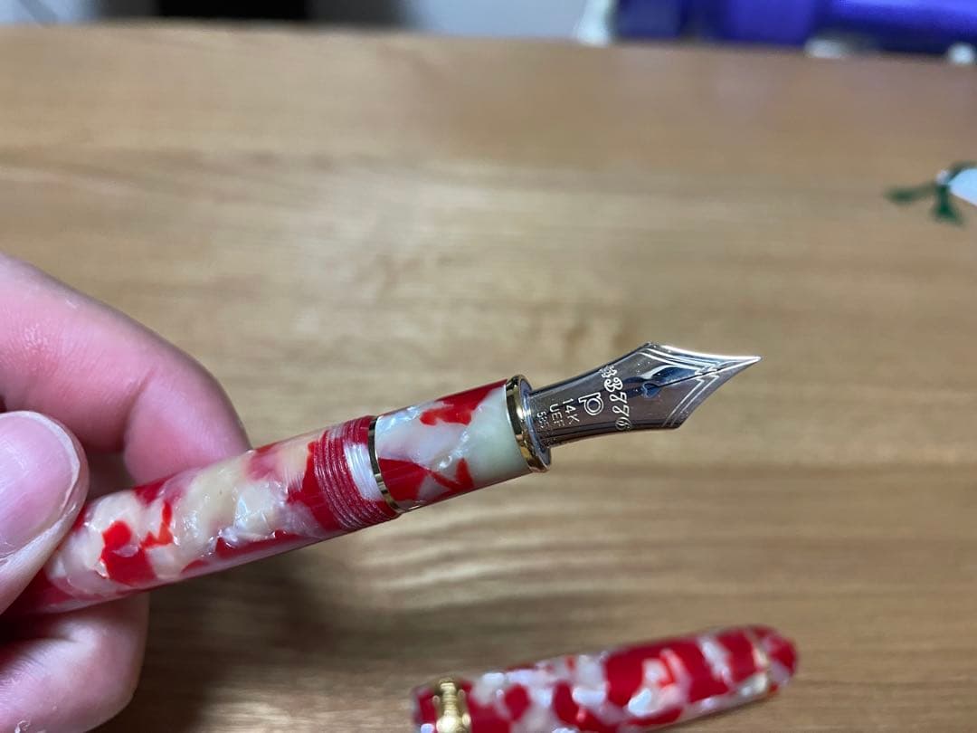 プラチナ万年筆 #3776 センチュリー セルロイド　キンギョ