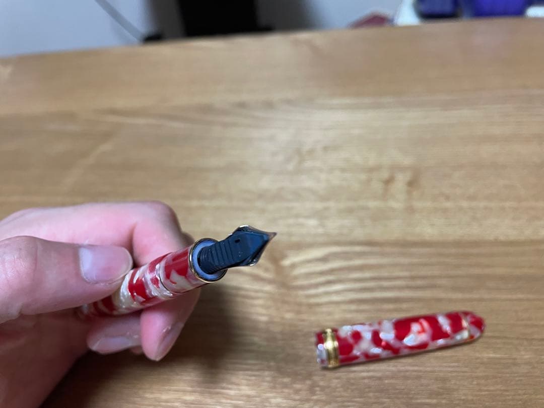 プラチナ万年筆 #3776 センチュリー セルロイド　キンギョ