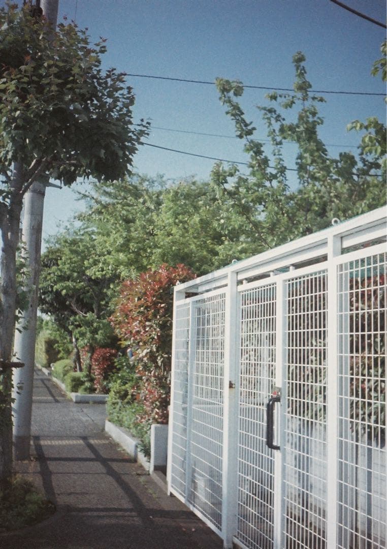 【動作確認・清掃済み＊試写あり】リコーオートハーフS